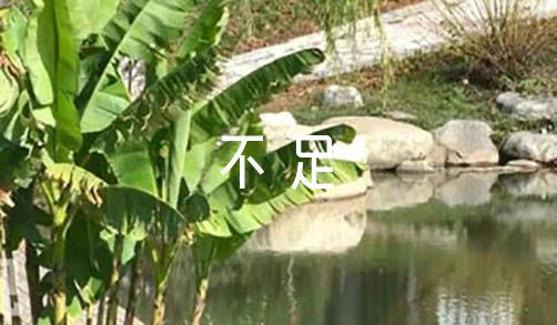 篮球训练活动内容记录范文_1
